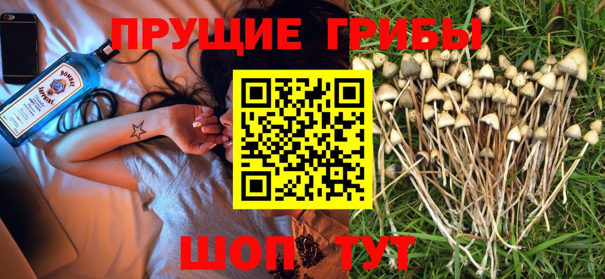 Галлюциногенные грибы Magic Shrooms  Вход с VPN  Чехов 