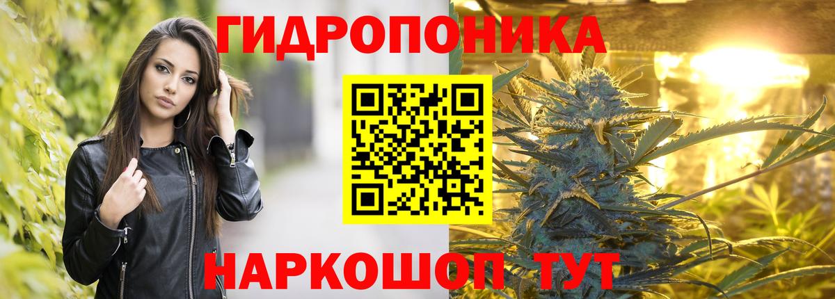 Шишки марихуана конопля  МАРИХУАНА Amnesia  Чехов  Вход с VPN 